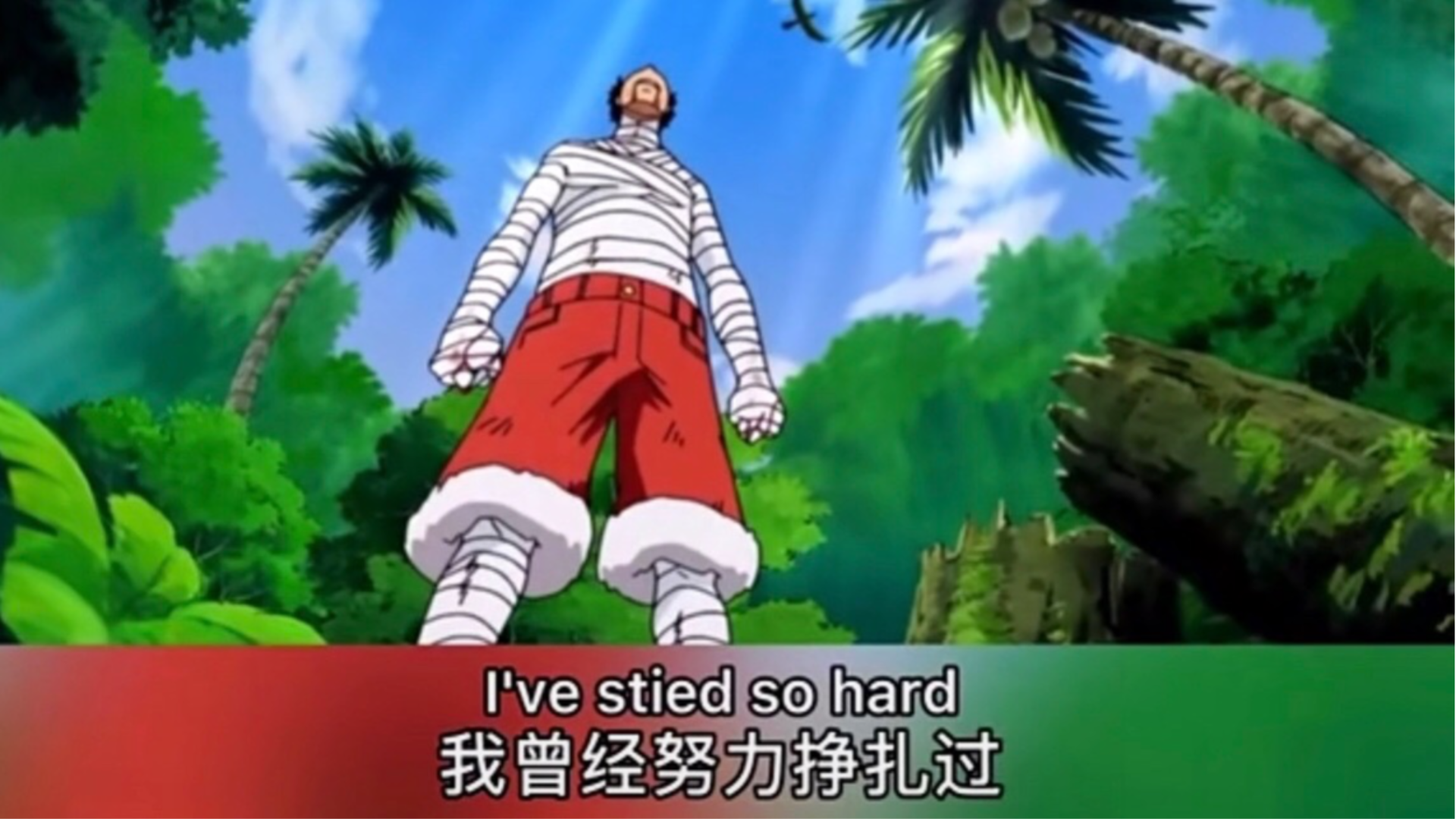 海贼王高能剪辑